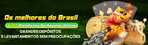 Comparação APP mobile vs versão web da zww